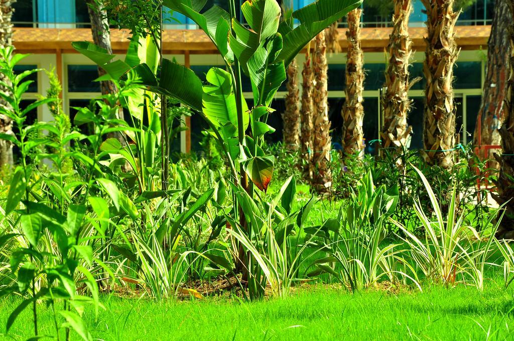Maya World Hotel All Inclusive Side Luaran gambar